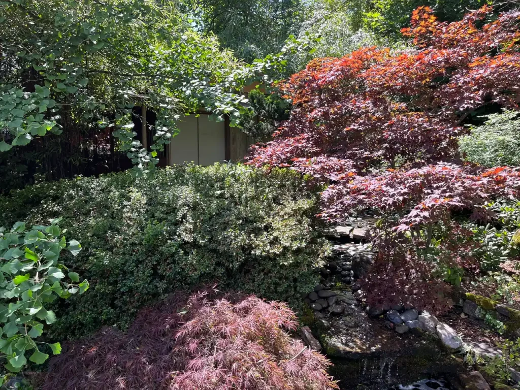 Japanese garden and tea room at Gudrun Paysen’s studio in Berg.